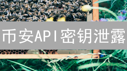 币安API密钥泄露？一招教你安全管理，避免资金损失！