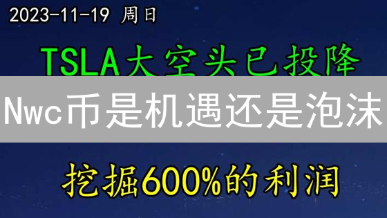 Nwc币是机遇还是泡沫？5分钟解密加密货币新秀！