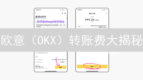 欧意（OKX）转账费大揭秘：省钱妙招与平台对比分析！